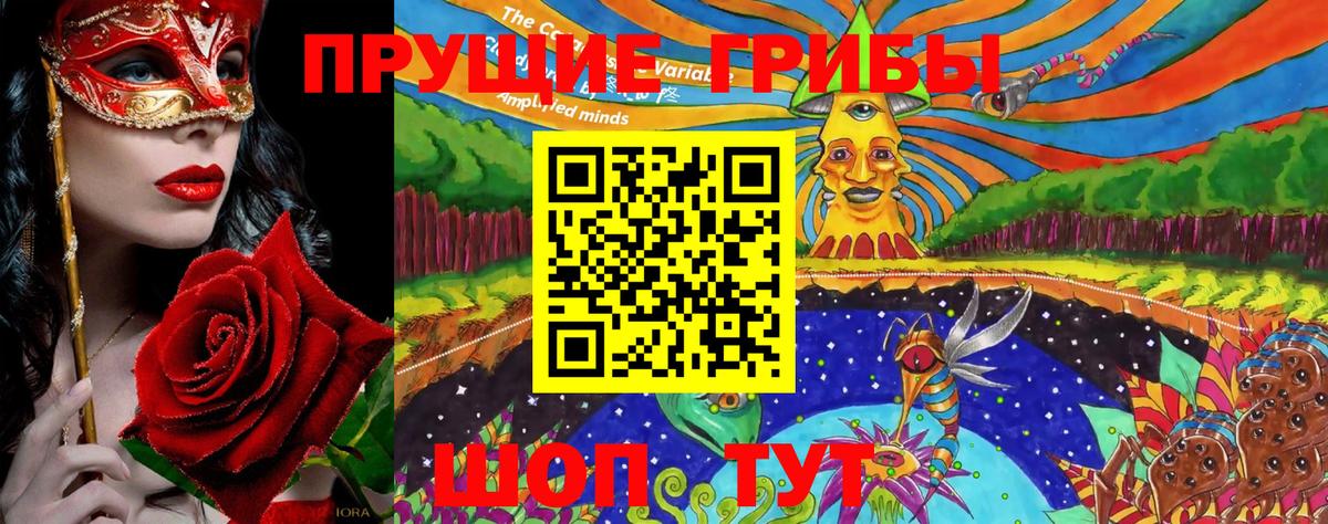 Псилоцибиновые грибы мицелий Владивосток