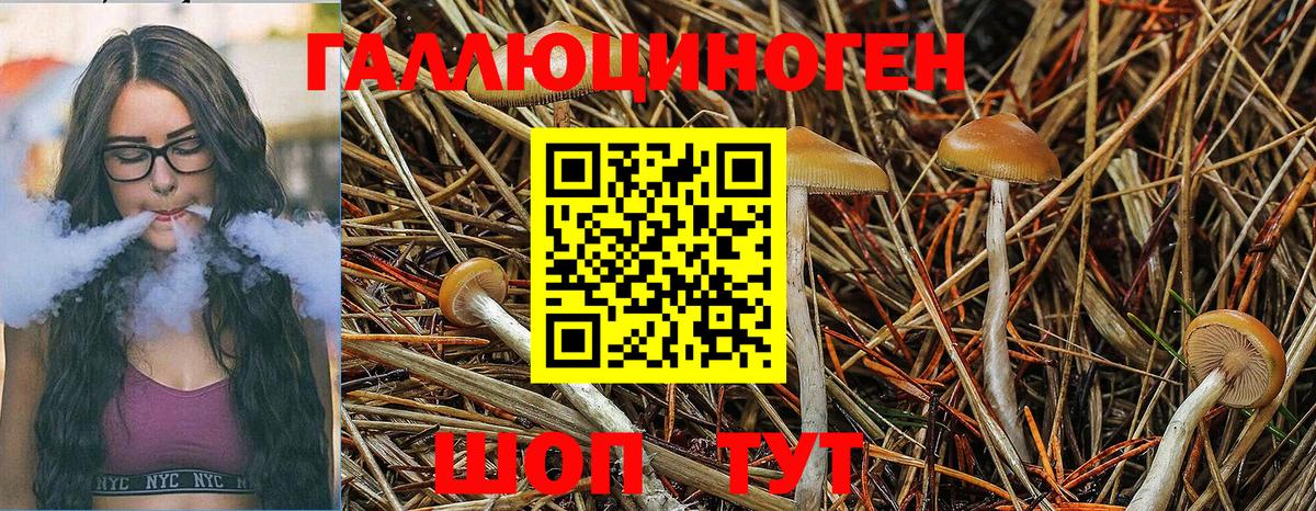 Галлюциногенные грибы ЛСД  Владивосток  что такое наркотик  Галлюциногенные грибы мухоморы 