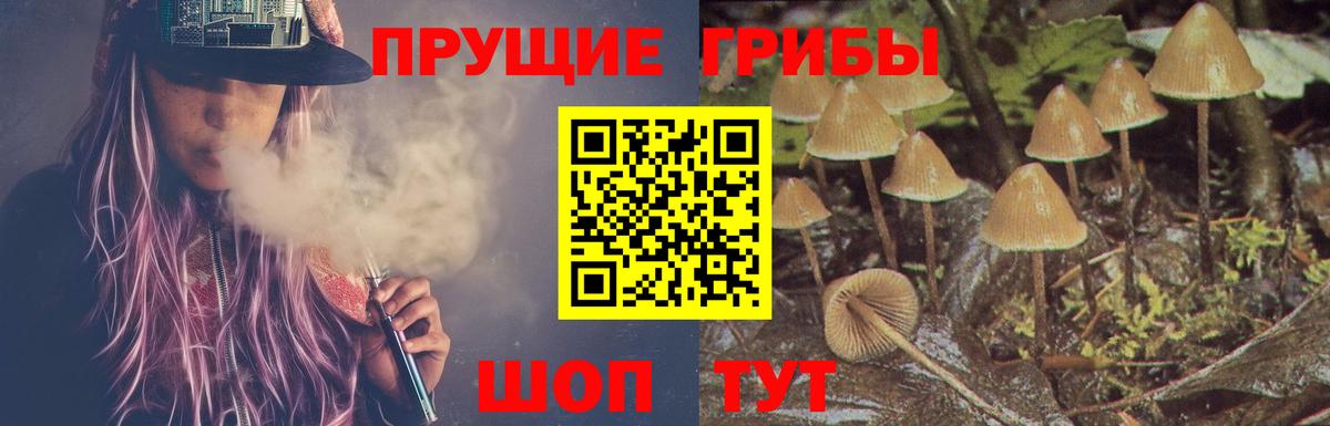 Псилоцибиновые грибы мицелий Владивосток